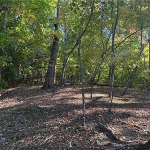 Photo #22 of Lot 8 Hidden Creek, Reidsville, NC 13.5 acres