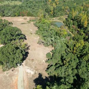 Photo #5 of Lot 8 Hidden Creek, Reidsville, NC 13.5 acres