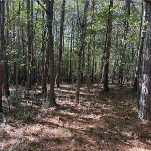 Photo #20 of Lot 8 Hidden Creek, Reidsville, NC 13.5 acres