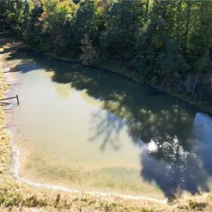 Photo #14 of Lot 8 Hidden Creek, Reidsville, NC 13.5 acres