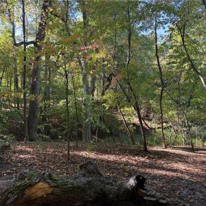 Photo #21 of Lot 8 Hidden Creek, Reidsville, NC 13.5 acres
