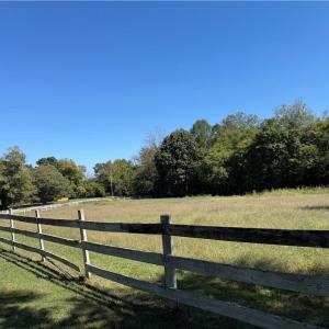 Photo #16 of 3203 Nancy Jean, Greensboro, NC 12.2 acres