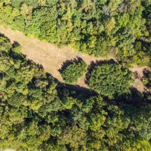 Cleared area in the back of the property