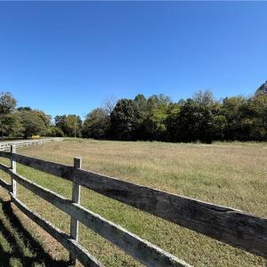 Cleared field in the front