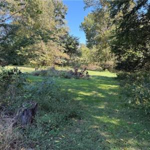 Photo #20 of 3203 Nancy Jean, Greensboro, NC 12.2 acres