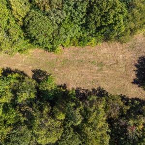 Photo #8 of 3203 Nancy Jean, Greensboro, NC 12.2 acres