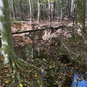 Photo #13 of Lot 4 Hidden Creek, Reidsville, NC 24.5 acres