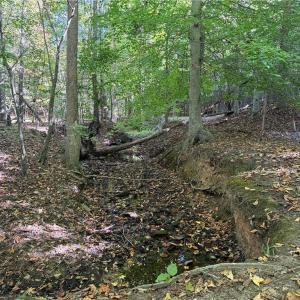 Photo #17 of Lot 4 Hidden Creek, Reidsville, NC 24.5 acres