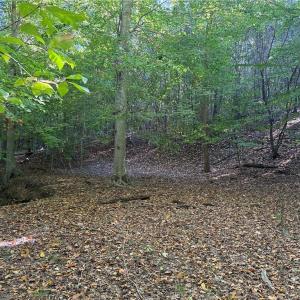 Photo #16 of Lot 4 Hidden Creek, Reidsville, NC 24.5 acres