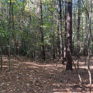 Photo #7 of Lot 4 Hidden Creek, Reidsville, NC 24.5 acres
