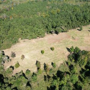 Photo #5 of Lot 4 Hidden Creek, Reidsville, NC 24.5 acres