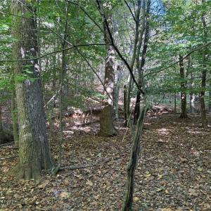 Photo #9 of Lot 4 Hidden Creek, Reidsville, NC 24.5 acres