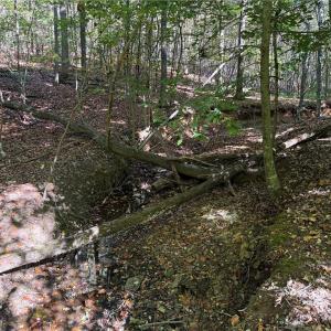 Photo #10 of Lot 4 Hidden Creek, Reidsville, NC 24.5 acres