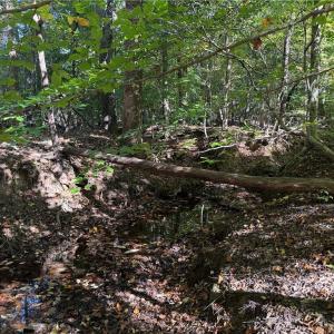 Photo #14 of Lot 4 Hidden Creek, Reidsville, NC 24.5 acres