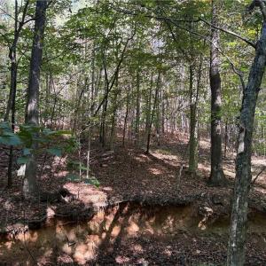 Photo #18 of Lot 4 Hidden Creek, Reidsville, NC 24.5 acres