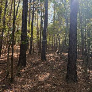 Photo #15 of Lot 4 Hidden Creek, Reidsville, NC 24.5 acres