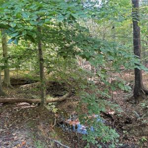 Photo #11 of Lot 4 Hidden Creek, Reidsville, NC 24.5 acres
