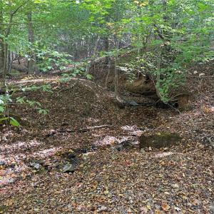 Photo #19 of Lot 4 Hidden Creek, Reidsville, NC 24.5 acres