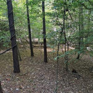 Photo #8 of Lot 4 Hidden Creek, Reidsville, NC 24.5 acres