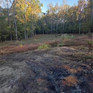 Photo #7 of 155 Cotton, Mocksville, NC 10.6 acres