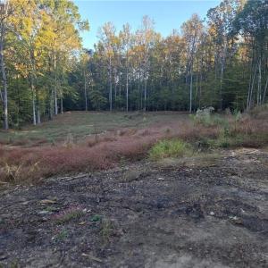 Photo #1 of 155 Cotton, Mocksville, NC 10.6 acres