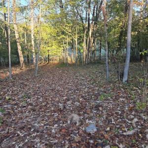 Photo #4 of 155 Cotton, Mocksville, NC 10.6 acres