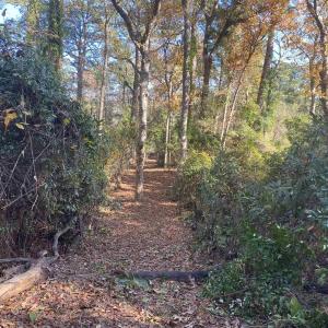 Photo #3 of 158 Dogwood Trail, Southern Shores, NC 0.5 acres