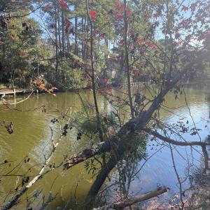 Photo #5 of 158 Dogwood Trail, Southern Shores, NC 0.5 acres