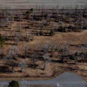 Photo #12 of TBD Windchaser Way, Moyock, NC 11.3 acres