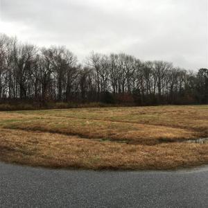 Photo #1 of 106 Northside Park Drive, Elizabeth City, NC 1.5 acres