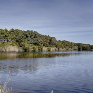 Photo #6 of 51209 NC 12 Highway, Frisco, NC 79.0 acres