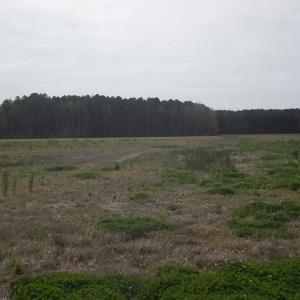 Photo #1 of 1000 Griff Lane, Elizabeth City, NC 10.0 acres