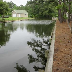 Photo #4 of 105 Mallard Court, Grandy, NC 0.5 acres