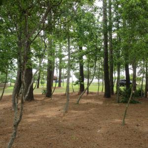 Photo #19 of 105 Mallard Court, Grandy, NC 0.5 acres
