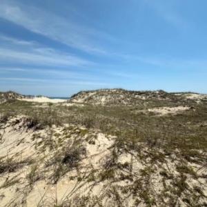 Photo #14 of 2151 Sandfiddler Road, Corolla, NC