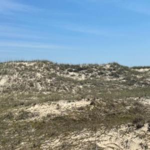 Photo #2 of 2151 Sandfiddler Road, Corolla, NC