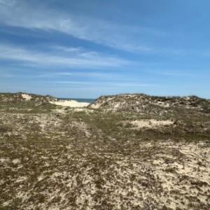 Photo #3 of 2151 Sandfiddler Road, Corolla, NC