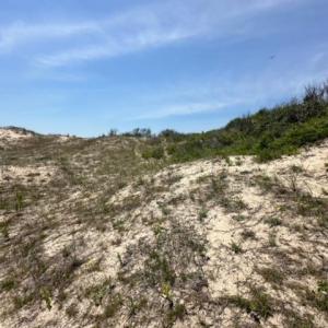 Photo #10 of 2151 Sandfiddler Road, Corolla, NC