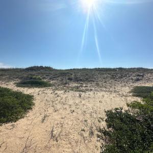 Photo #2 of 2239 Sandfiddler Road, Corolla, NC