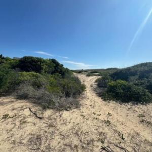 Photo #11 of 2239 Sandfiddler Road, Corolla, NC