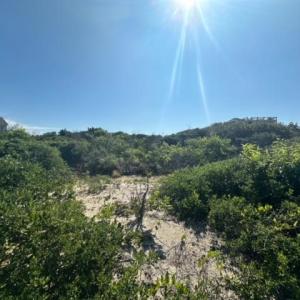 Photo #6 of 2239 Sandfiddler Road, Corolla, NC