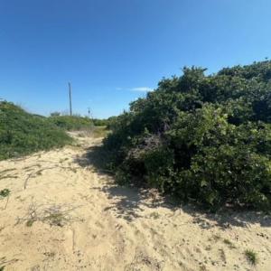 Photo #9 of 2239 Sandfiddler Road, Corolla, NC