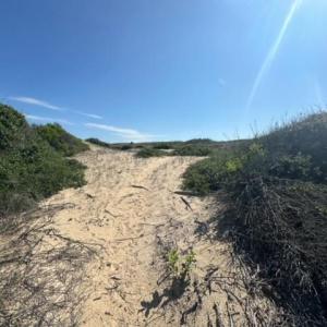 Photo #12 of 2239 Sandfiddler Road, Corolla, NC