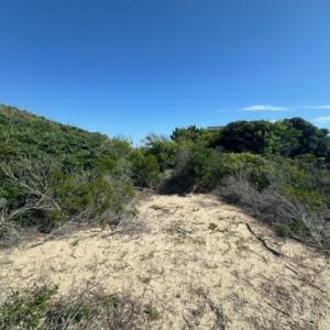 Photo #10 of 2239 Sandfiddler Road, Corolla, NC