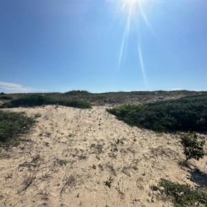 Photo #13 of 2239 Sandfiddler Road, Corolla, NC