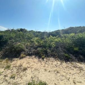 Photo #8 of 2239 Sandfiddler Road, Corolla, NC