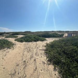 Photo #7 of 2239 Sandfiddler Road, Corolla, NC