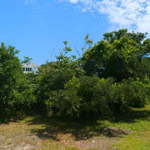Photo #8 of 2091 Sandpiper Road, Corolla, NC 0.3 acres