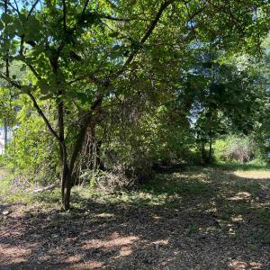 Photo #6 of 443 Kitty Hawk Bay Drive, Kill Devil Hills, NC 0.2 acres