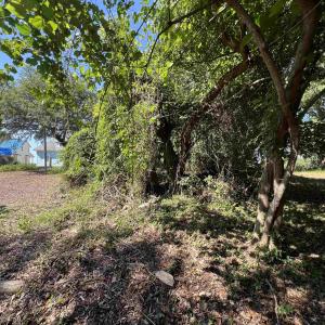 Photo #3 of 443 Kitty Hawk Bay Drive, Kill Devil Hills, NC 0.2 acres